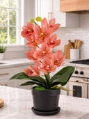 Pink color option, Currently selected