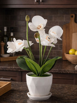 Aarvi Decor - White Silk Fabric Orchid Radiance Arrangement Pot With Flower