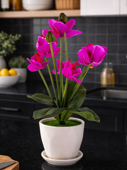 Aarvi Decor - Magenta Silk Fabric Orchid Radiance Arrangement Pot With Flower