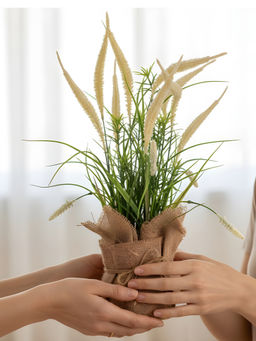 Aarvi Decor - Cream Silk Plastic Artificial Foxtail Grass Arrangement Flower Bunch With Jute Wrap
