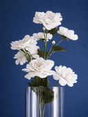 White color option, Sold out