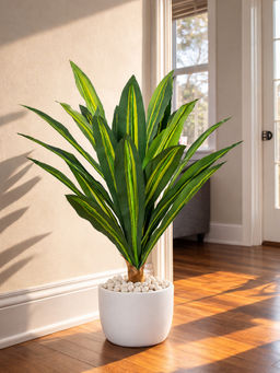 Aarvi Decor - Green Vibrant Artificial Dracaena Fragrans Plant Big Size For Home Decor Without Pot