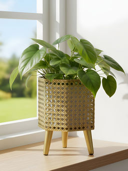 Aarvi Decor - Golden Metal And Wood Freestanding Hexagonal Luxe Planter