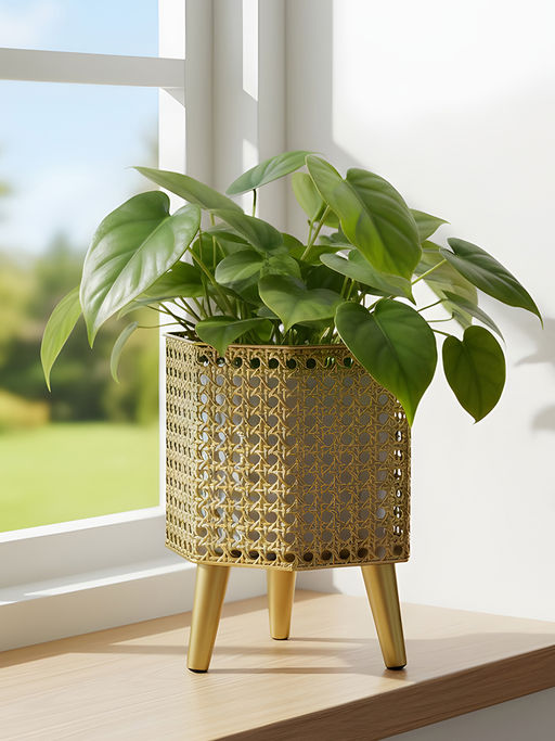 Aarvi Decor Golden Metal And Wood Freestanding Hexagonal Luxe Planter