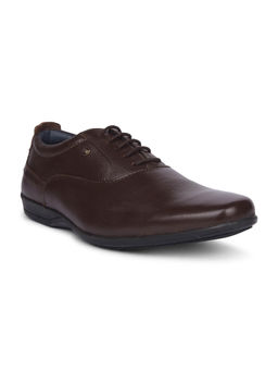 Bata - Men Formal Oxford Shoes Brown