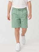 Green color option, Currently selected