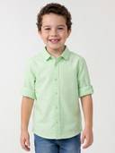 Green color option, Currently selected
