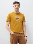 Mustard color option, Currently selected
