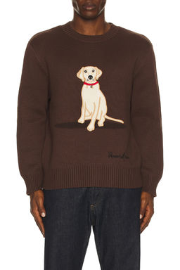 House of Sunny - The Labrador Sweater