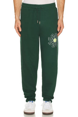 Prince Tennis - Fleece Pant