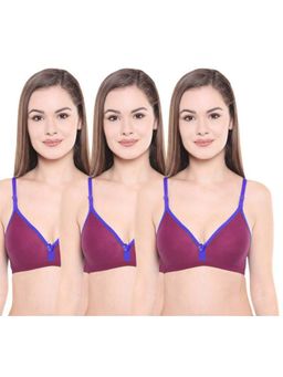 Bodycare - Pack of 3 Seamless Cup Bra In Rani Colour