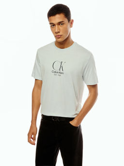 Calvin Klein - Men Blue Cotton Regular Fit T-Shirt
