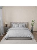 Silver color option, Currently selected