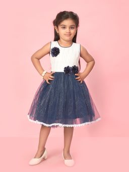 Aarika - Navy Blue Colour Net Self Design Frock