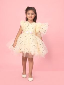 Aarika - Lemon Colour Net Sequin Mini Dress