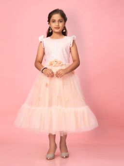 Aarika - Peach Colour Net Self Design Gown