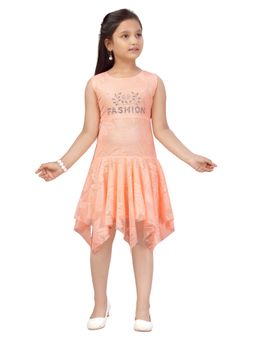 Aarika - Peach Colour Net Frock