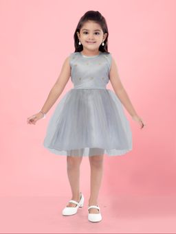 Aarika - Grey Colour Party Wear Mini Dress