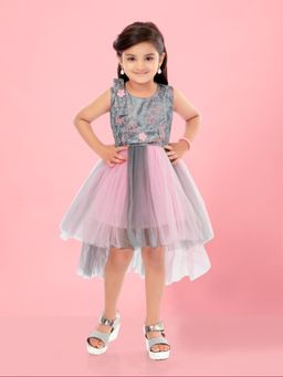 Aarika - Pink Colour Net Mini Dress