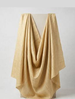 Banka Silk - Beige Pure Slub Silk Dress Material