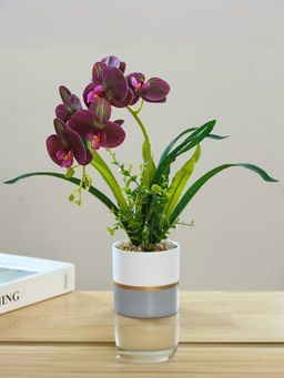 USHA SHRIRAM - Moth Orchid Artificial Plant With Pot Purple