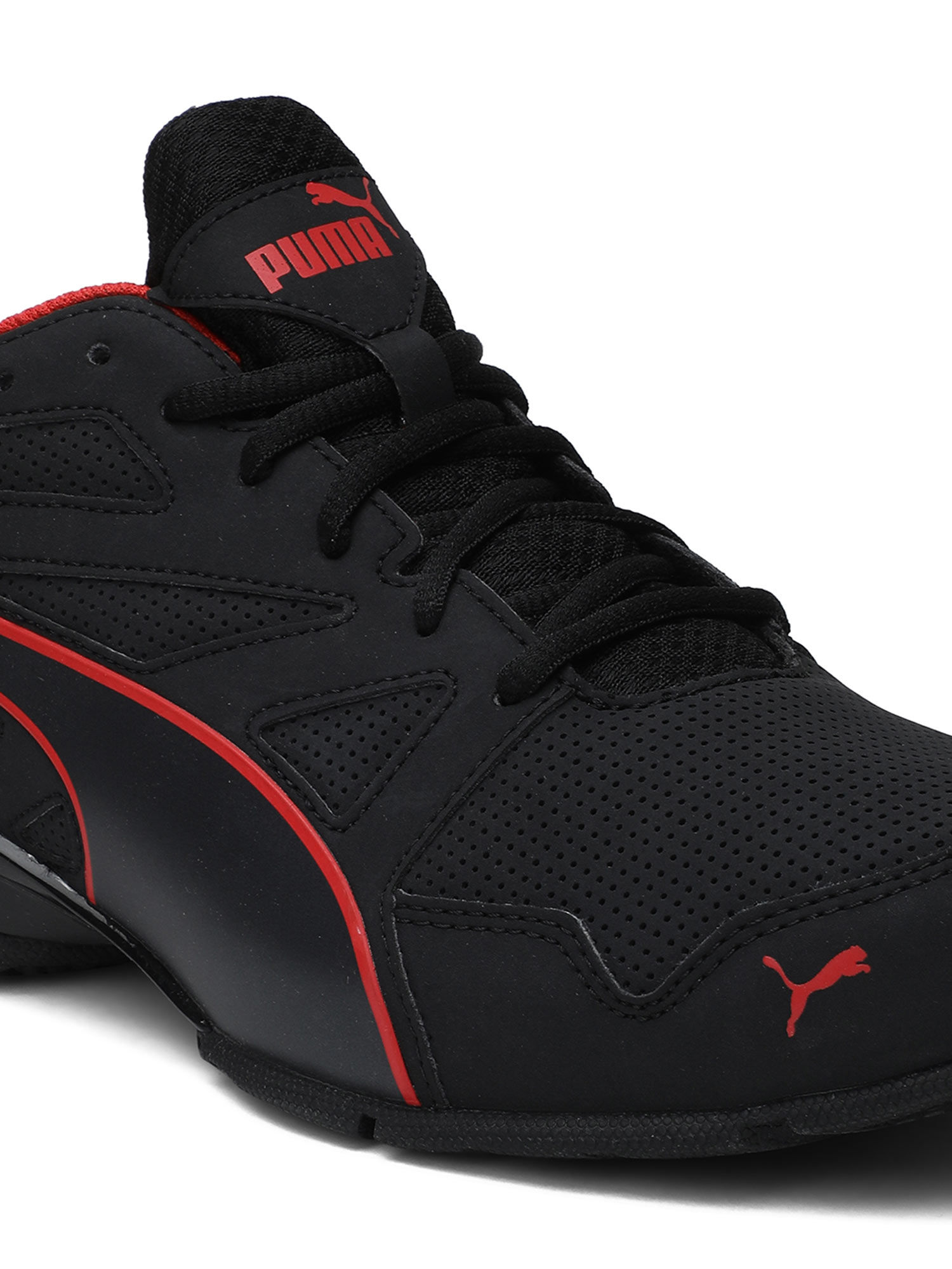 puma tazon modern sl fm