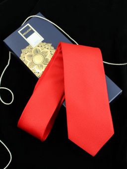 PELUCHE - Modish Necktie for Men