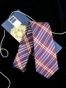 PELUCHE - Slick Necktie for Men