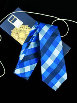 PELUCHE - Sleek Necktie for Men