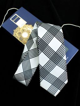 PELUCHE - Delightful Squares Necktie for Men