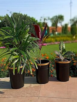 Ecofynd - Black Bucket Metal Planter