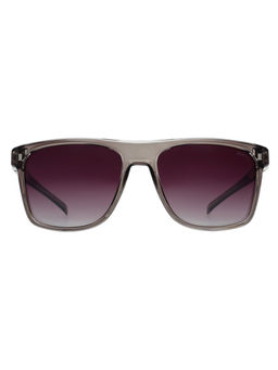 Scott Sunglasses - Mens Purple Lens Grey Square Uv Protection Sunglasses-3094Pl Portico C2 (58)