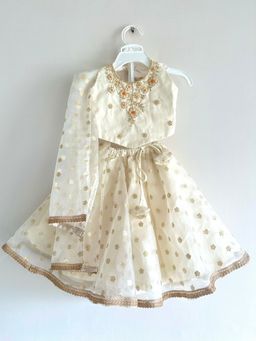 Mini Maana - White Tara Organza Girls Ivory Organza Silk Embroidered Lehenga Set