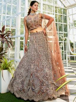 Panchhi - Brown Zarkan Embroidery Semi-Stitched Lehenga with Blouse & Dupatta (Set of 3)