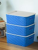 Blue color option, Currently selected