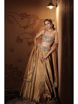 Vana Ethnics - Tissue Mirror Embellished Choli And Lehenga With Dupatta