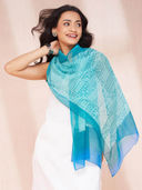 Teal color option, Currently selected