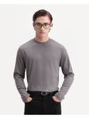 Grey color option, Currently selected
