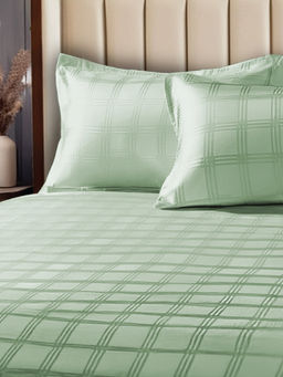 Urban Space - Green Cotton 300Tc Bedsheet with 2 Pillow Covers (King)