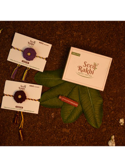 Indigifts - 2 Plantable Seed Rakhi For Brother 1 Instruction Manual With Roli (Purple & Red)