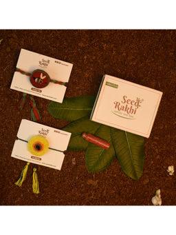 Indigifts - 2 Plantable Seed Rakhi For Brother 1 Instruction Manual With Roli (Red & Yellow)