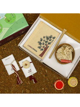 Indigifts - 2 Plantable Seed Rakhi For Brother With Planter 1 Diary & Pen (Multi)