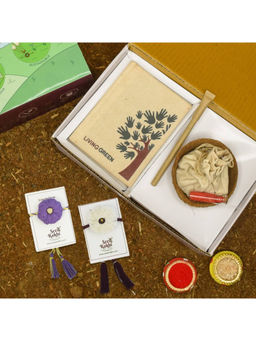 Indigifts - 2 Plantable Seed Rakhi For Brother With Planter 1 Diary & Pen (Multi)