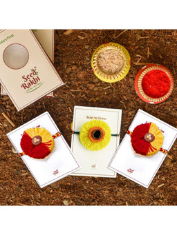 Indigifts - 3 Plantable Seed Rakhi For Brother Eco-Friendly & Handmade (Multi)