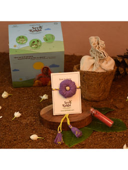Indigifts - Plantable Seed Rakhi For Brother With Planter, Manual, Roli (Purple)