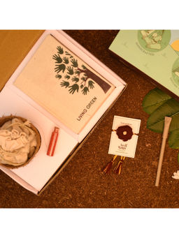 Indigifts - Plantable Seed Rakhi For Brother With Planter, 1 Diary & Pen (Red)