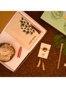 Indigifts - Plantable Monkey Seed Rakhi For Brother With Planter, Diary & Pen (Brown)