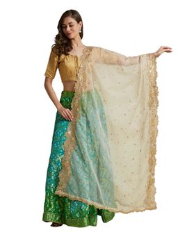 Dupatta Bazaar - Women Embroidered Organza Dupatta