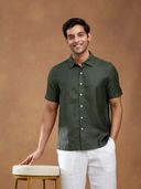 Olive color option, Currently selected