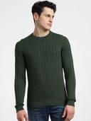 Green color option, Currently selected
